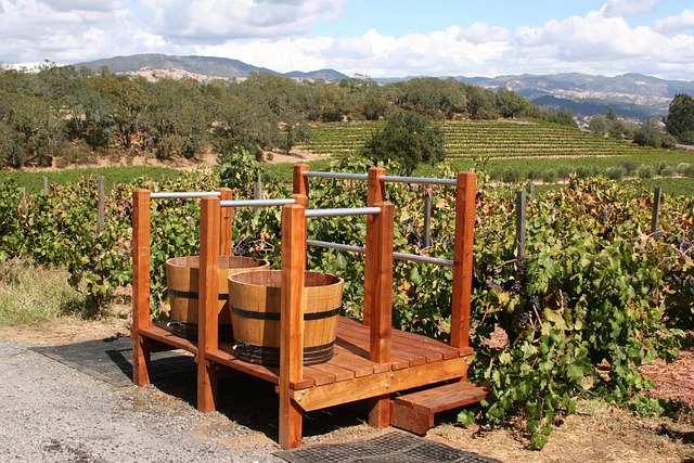 winery