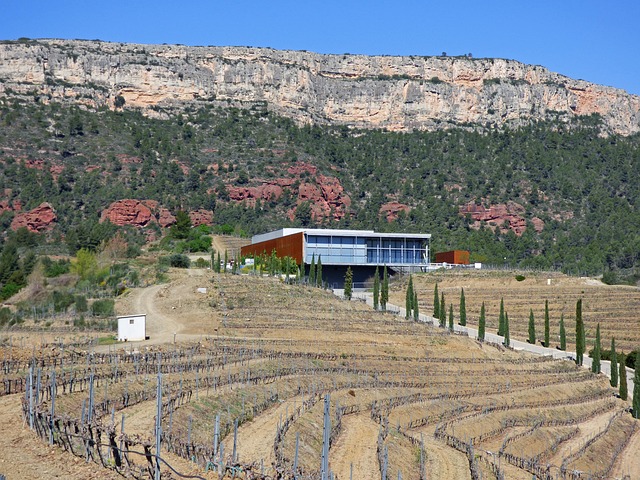 winery