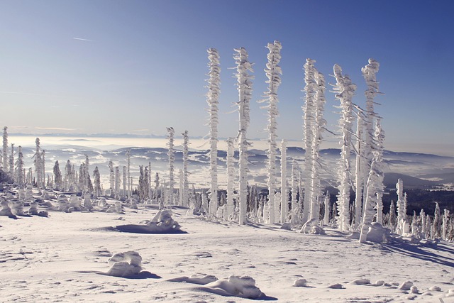 winter