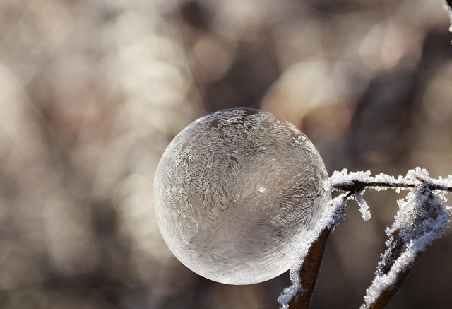 winter
