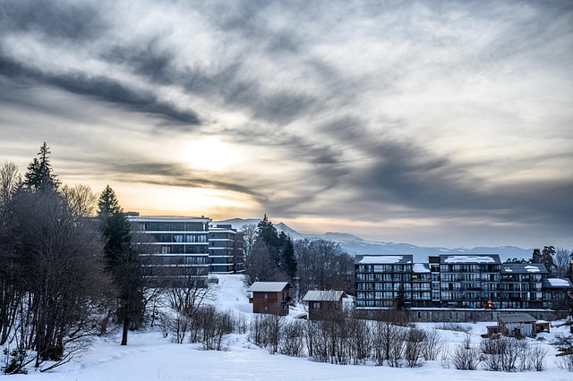 winter