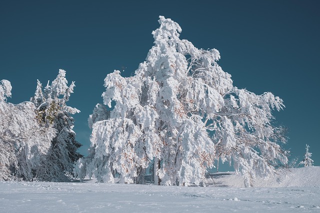 winter
