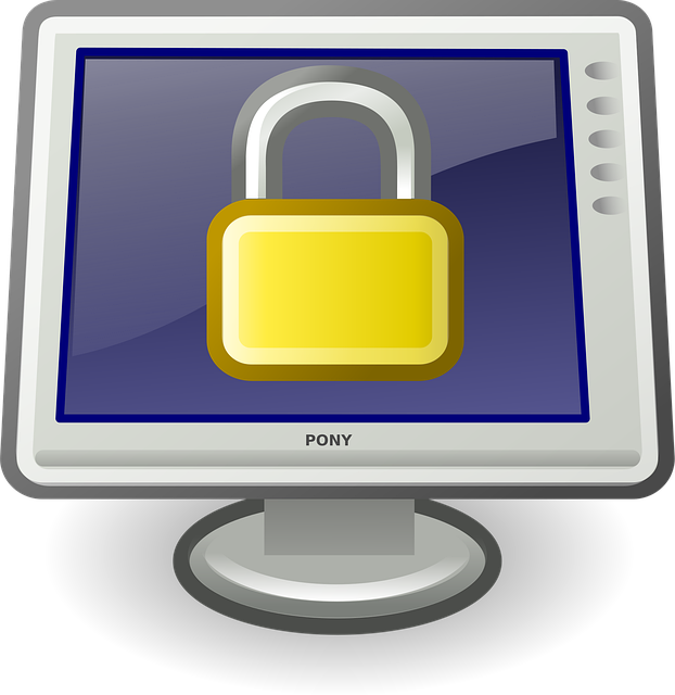 access-640x480-13673272.png