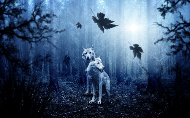 adventure-640x480-34646479.jpeg