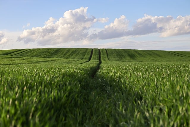 agriculture