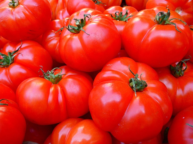 agriculture-640x480-81395549.jpeg