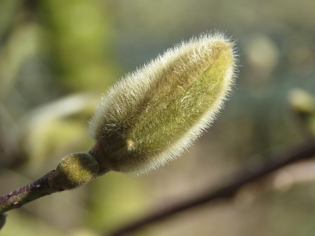 allergy-640x480-51098804.jpeg