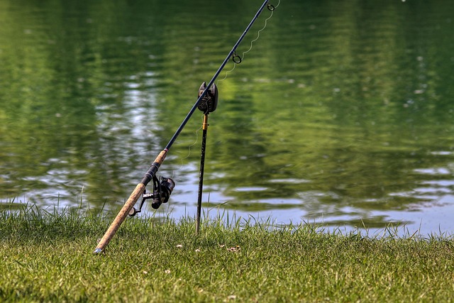 Angler