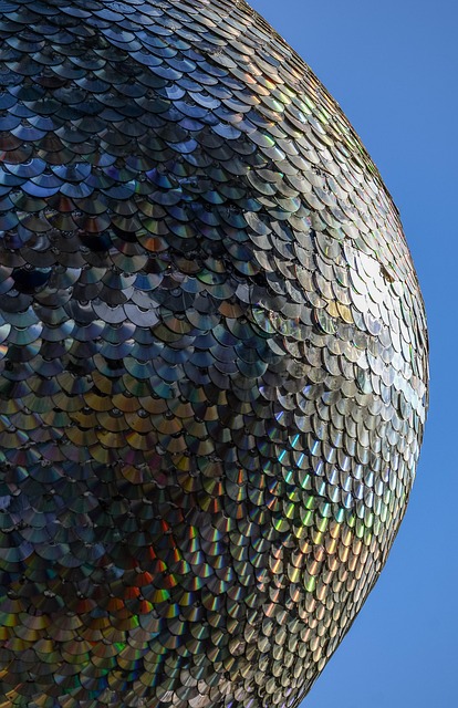 Art Installation Eugene Oregon