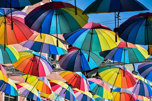 Art Installation Eugene Oregon