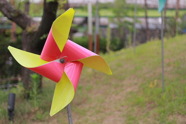 Art Installation Eugene Oregon