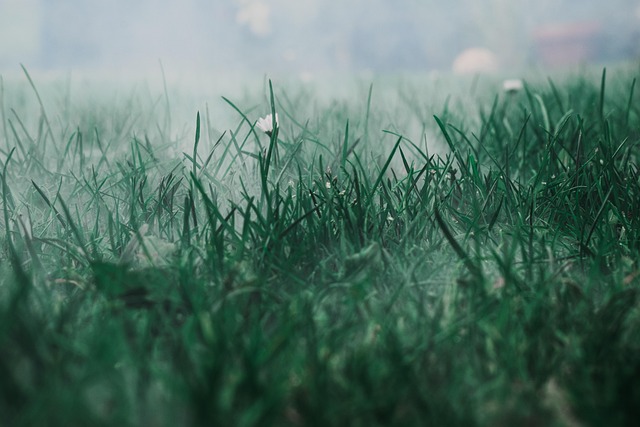 Artificial Grass Installation Eugene Oregon