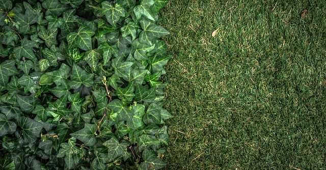 Artificial Grass Installation Eugene Oregon