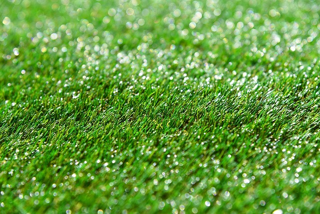 artificial-grass-installation-eugene-ore-640x480-88583759.jpeg