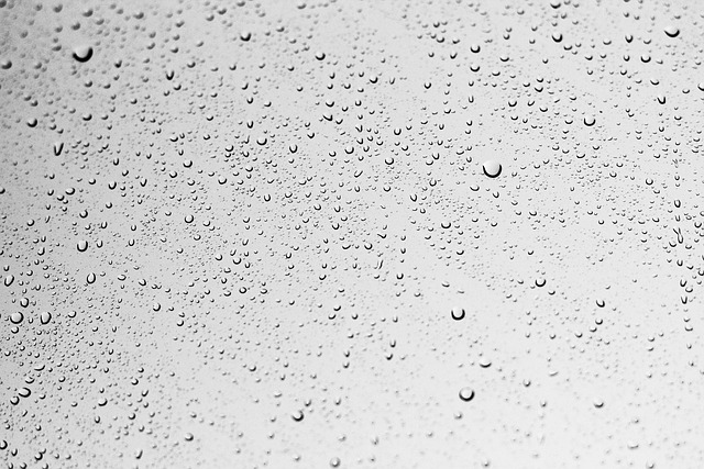 Auto Glass Repair Eugene Oregon