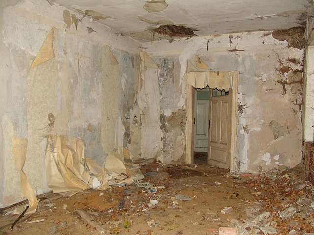 Basement Renovation Eugene Oregon