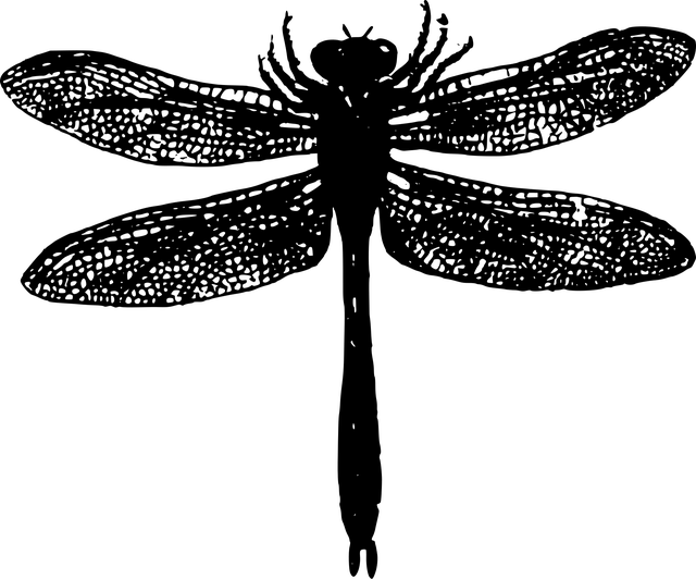 basics-640x480-57661161.png