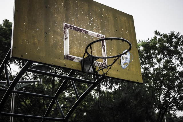 Top NCAA Picks Fuel Oregon Ducks’ Basketball Dynasty