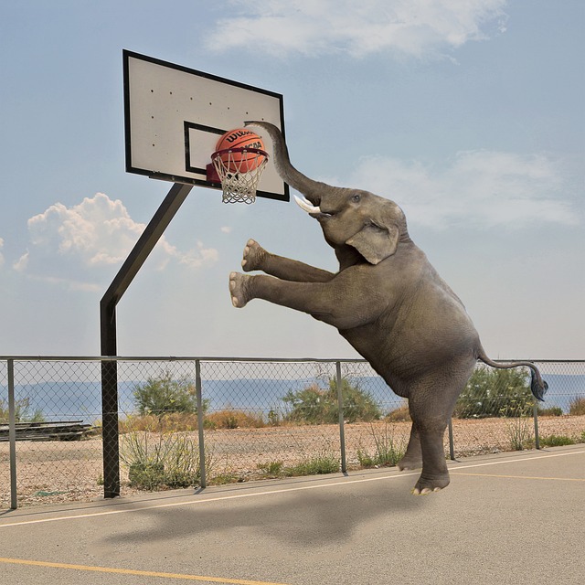 basketball