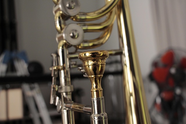 bass-640x480-48560722.jpeg
