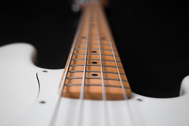 bass-640x480-59759422.jpeg