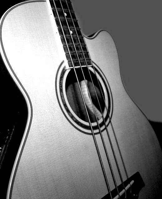 bass-640x480-66360742.jpeg