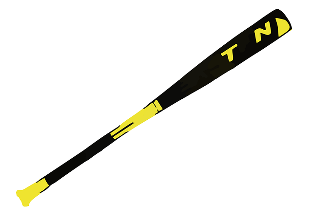 bat-640x480-40805329.png