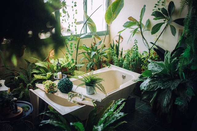Bathroom Design Eugene Oregon