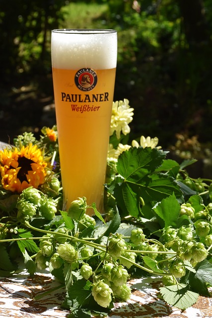 beer