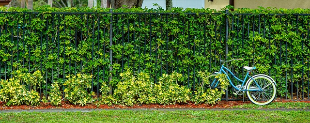 biking