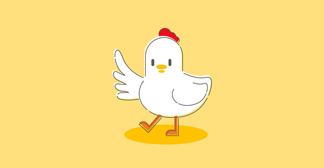 birds