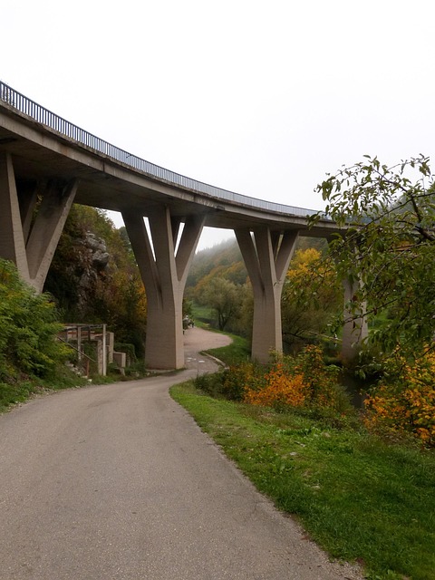 bypass