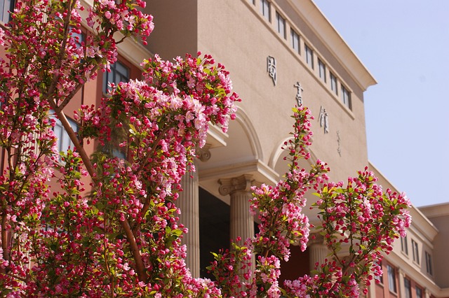 campus-640x480-25281129.jpeg