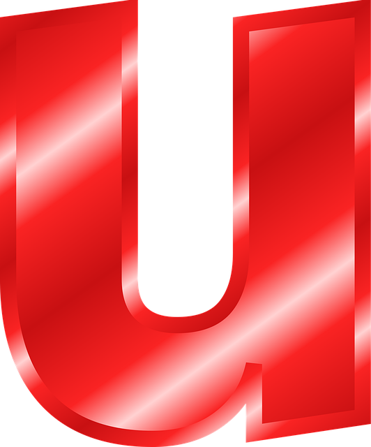 case-640x480-48476698.png