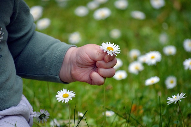 child welfare