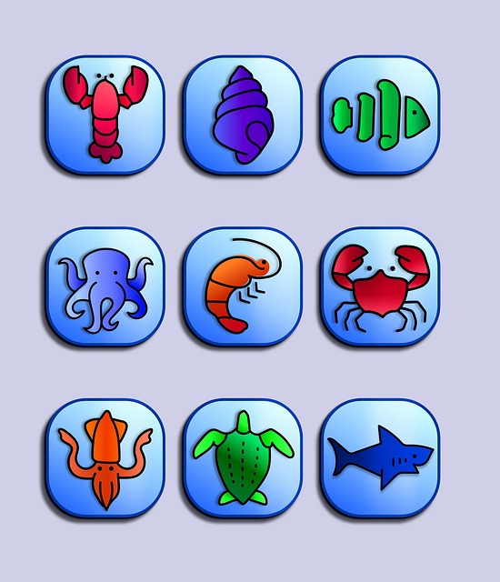 choice-640x480-81083141.jpeg