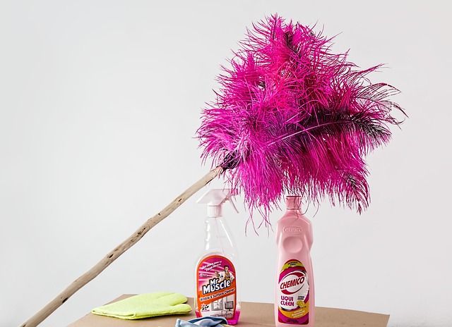 cleanup