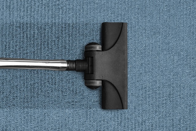 cleanup