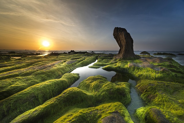 coast