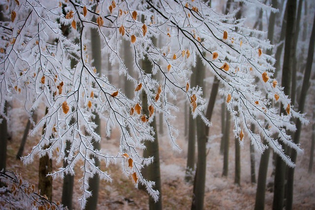 cold-640x480-41888216.jpeg