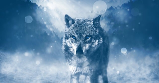cold-640x480-76502904.jpeg