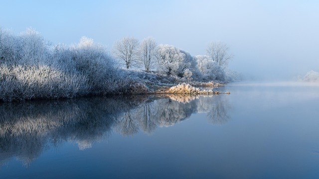 cold