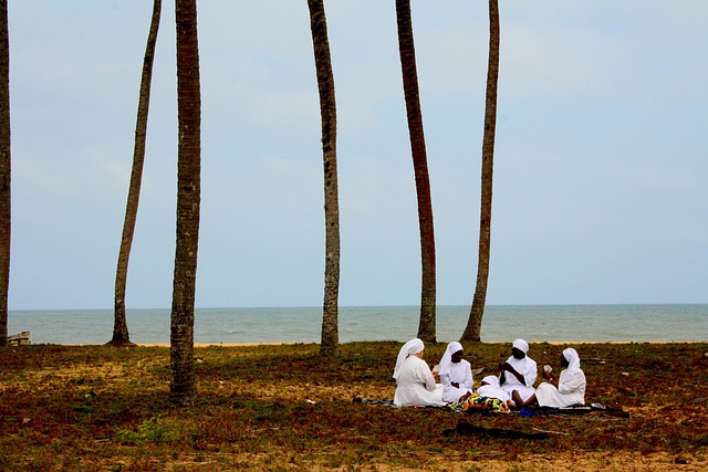 community-640x480-91847638.jpeg