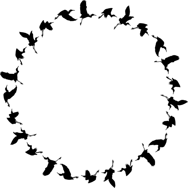 conservation-640x480-61020926.png