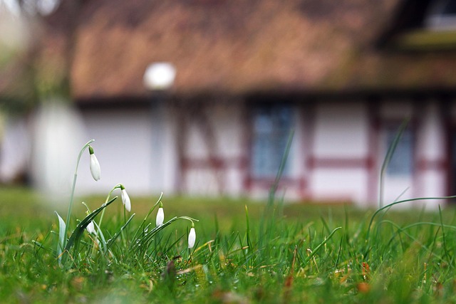 cottage-640x480-14729170.jpeg