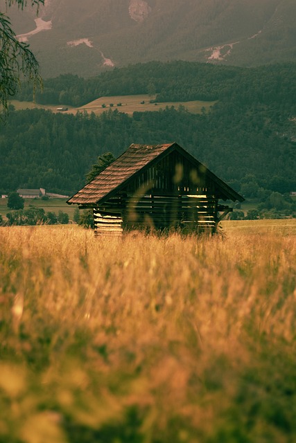 Cottage