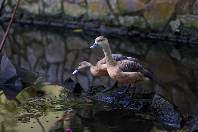 couple-640x480-33527474.jpeg
