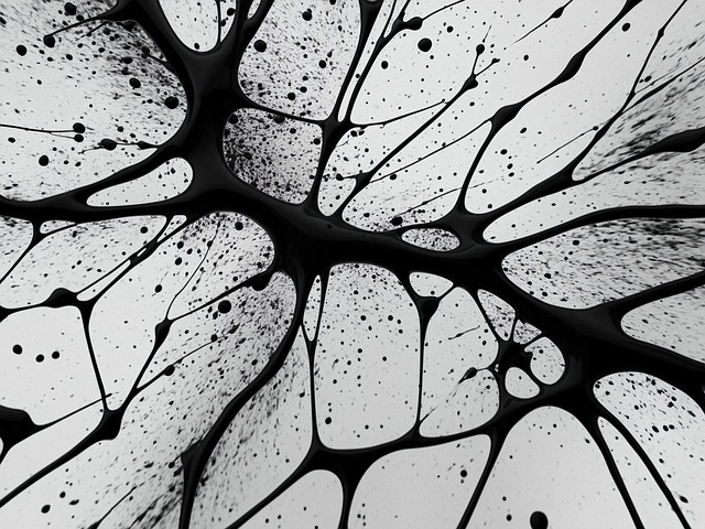 creativity-640x480-77555927.jpeg