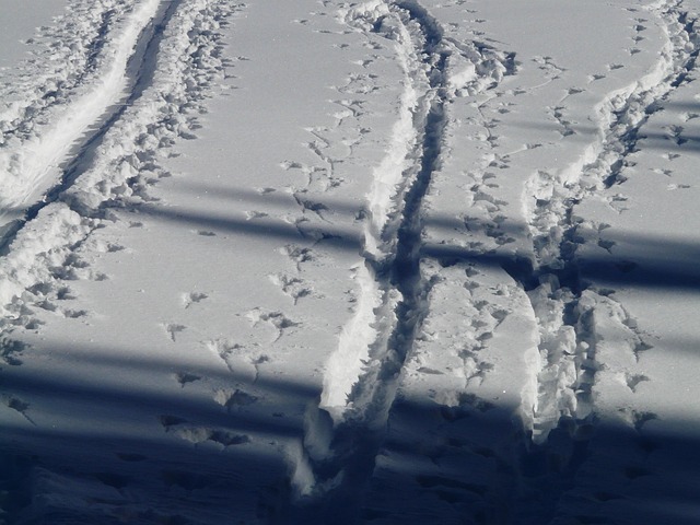cross-country
