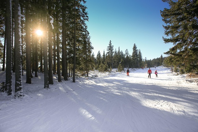 cross-country-640x480-50532850.jpeg